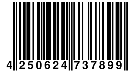 4 250624 737899