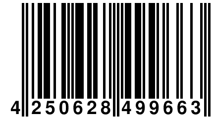 4 250628 499663