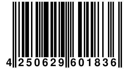 4 250629 601836