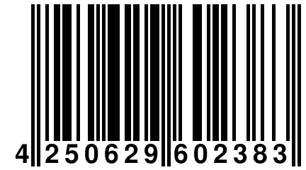 4 250629 602383