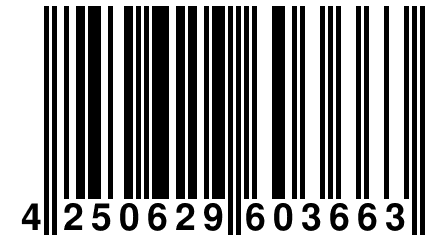 4 250629 603663