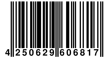 4 250629 606817