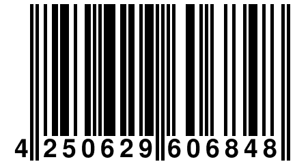 4 250629 606848