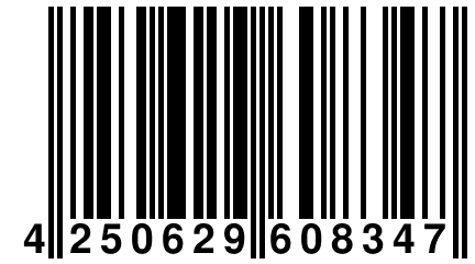 4 250629 608347