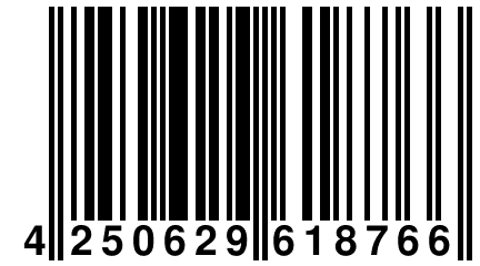 4 250629 618766