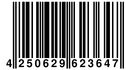 4 250629 623647