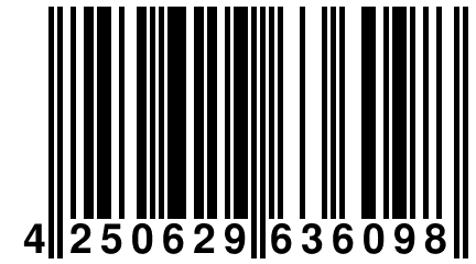 4 250629 636098