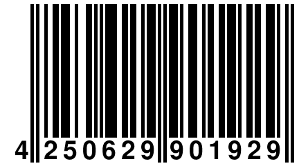 4 250629 901929