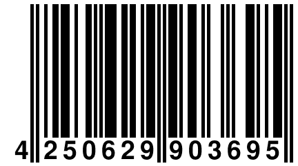 4 250629 903695