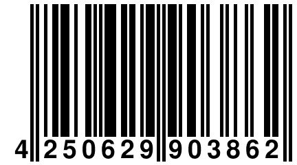 4 250629 903862