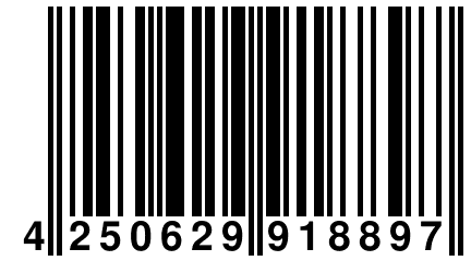 4 250629 918897