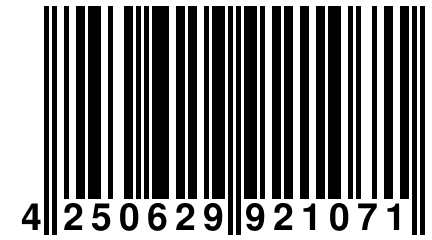 4 250629 921071