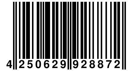 4 250629 928872