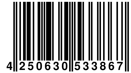 4 250630 533867