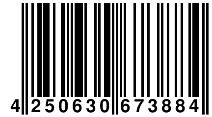 4 250630 673884