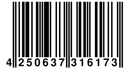 4 250637 316173