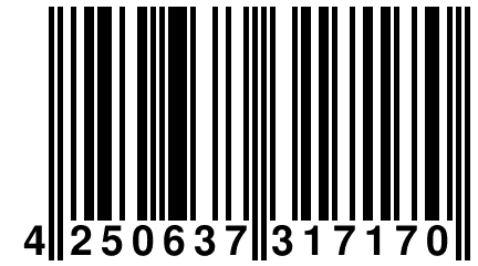 4 250637 317170