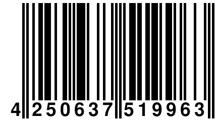 4 250637 519963