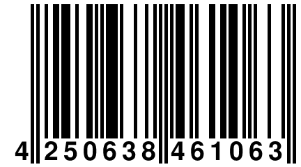 4 250638 461063