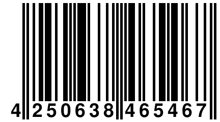 4 250638 465467