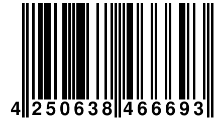 4 250638 466693
