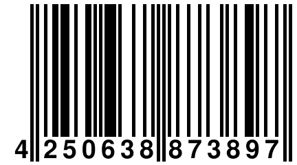 4 250638 873897