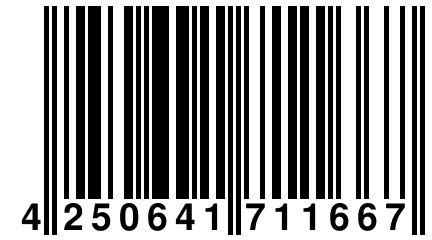 4 250641 711667
