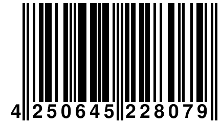 4 250645 228079