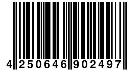 4 250646 902497