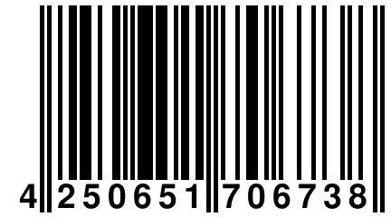4 250651 706738