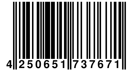 4 250651 737671