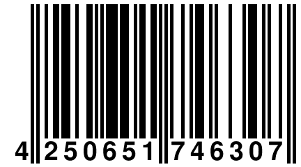 4 250651 746307