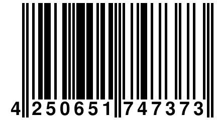 4 250651 747373