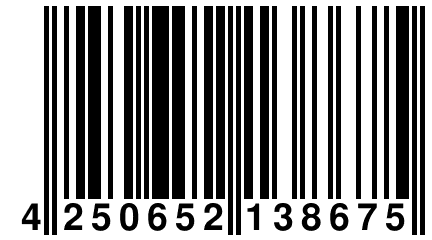 4 250652 138675