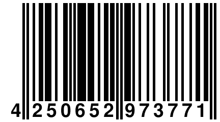 4 250652 973771