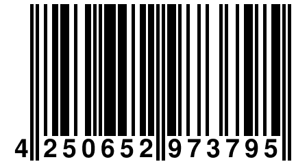 4 250652 973795