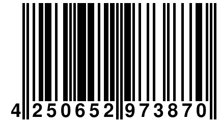 4 250652 973870
