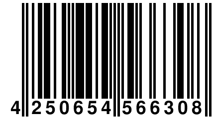 4 250654 566308