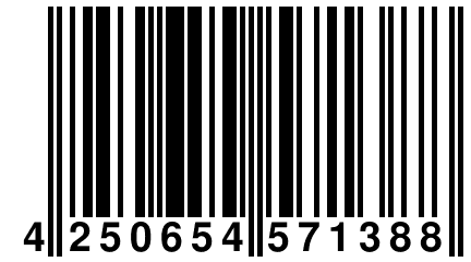 4 250654 571388