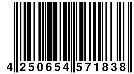 4 250654 571838