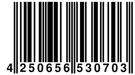4 250656 530703