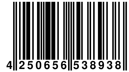 4 250656 538938