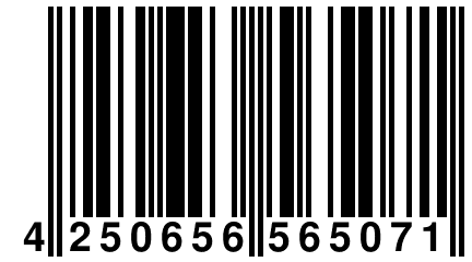 4 250656 565071