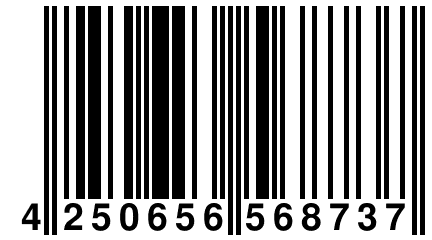 4 250656 568737