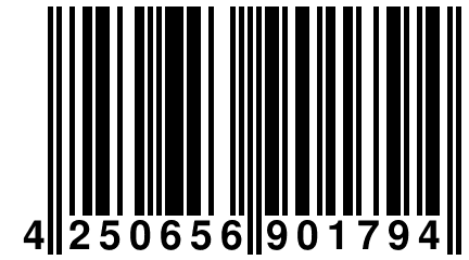 4 250656 901794