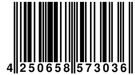 4 250658 573036