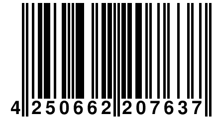 4 250662 207637