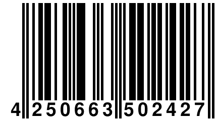 4 250663 502427