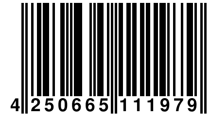 4 250665 111979