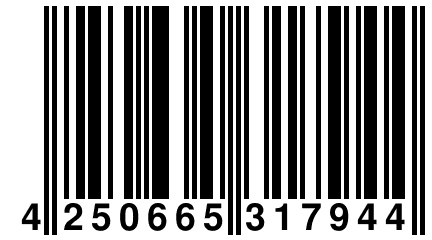 4 250665 317944